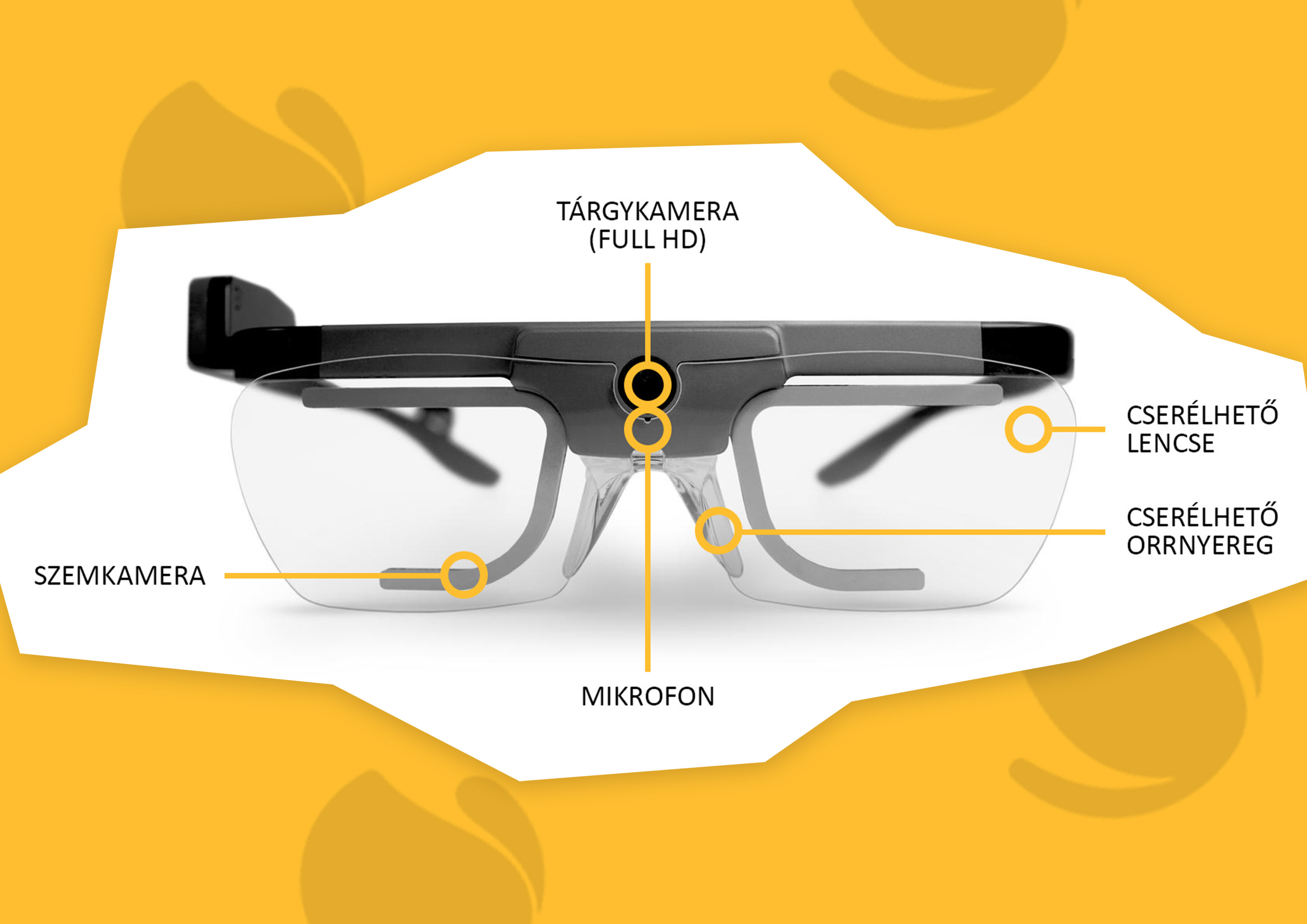 Eye Tracking