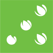 CareerSpot
